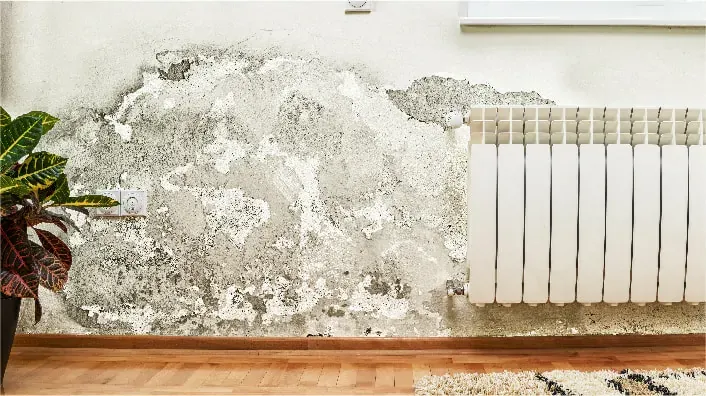 Humedad en la pared de una casa