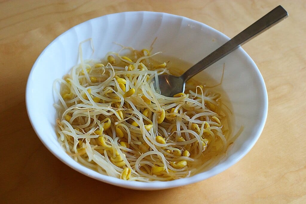  Kongnamul